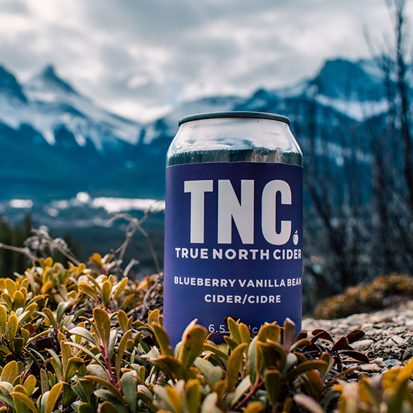 Blueberry Vanilla Bean Cider Made in Alberta